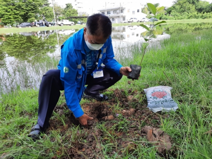 ไฟล์แนบ กปภ.สาขาพระนครศรีอยุธยา(พ) จัดกิจกรรมปลูกป่าเพื่อแผ่นดิน เทิดพระเกียรติพระบาทสมเด็จพระบรมชนกาธิเบศร มหาภูมิพลอดุลยเดชมหาราช บรมนาถบพิตร (Father's Land)