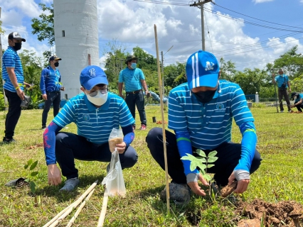 ไฟล์แนบ กปภ.สาขาเวียงเชียงของ จัดกิจกรรมวันต้นไม้ประจำปีของชาติ ประจำปี ๒๕๖๕        