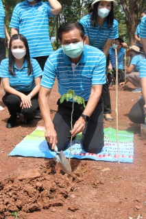ไฟล์แนบ กปภ.ข.7 จัดกิจกรรมปลูกต้นไม้ เนื่องในโอกาสวันเฉลิมพระชนมพรรษาสมเด็จพระนางเจ้า ฯ พระบรมราชินี