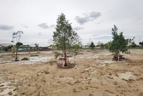 ไฟล์แนบ กปภ.สาขาคลองหลวง ร่วมกิจกรรมปลูกต้นไม้พันธ์ไม้มงคลพระราชทานประจำจังหวัด 77 จังหวัด และต้นไม้ในพุทธประวัติ เฉลิมพระเกียรติ สมเด็จพระนางเจ้าสุทิดา พัชรสุธาพิมลลักษณ พระบรมราชินี  เนื่องในโอกาสวันเฉลิมพระชนมพรรษา 3 มิถุนายน 2565