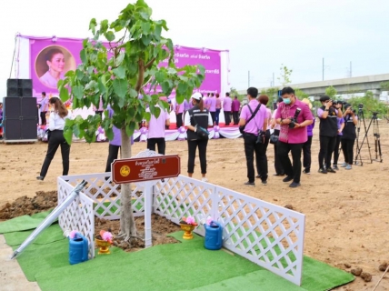 ไฟล์แนบ กปภ.สาขาคลองหลวง ร่วมกิจกรรมปลูกต้นไม้พันธ์ไม้มงคลพระราชทานประจำจังหวัด 77 จังหวัด และต้นไม้ในพุทธประวัติ เฉลิมพระเกียรติ สมเด็จพระนางเจ้าสุทิดา พัชรสุธาพิมลลักษณ พระบรมราชินี  เนื่องในโอกาสวันเฉลิมพระชนมพรรษา 3 มิถุนายน 2565