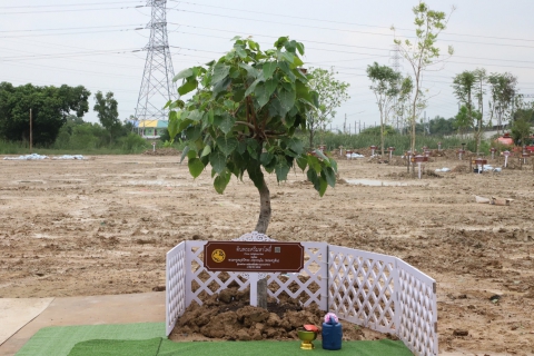 ไฟล์แนบ กปภ.สาขาธัญบุรี ร่วมกิจกรรมปลูกต้นไม้พันธุ์ไม้มงคลพระราชทานประจำจังหวัด 77 จังหวัด และต้นไม้ในพุทธประวัติ เฉลิมพระเกียรติ สมเด็จพระนางเจ้าสุทิดา พัชรสุธาพิมลลักษณ พระบรมราชินี เนื่องในโอกาสวันเฉลิมพระชนมพรรษา 3 มิถุนายน 2565