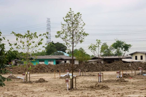 ไฟล์แนบ กปภ.สาขารังสิต (ชั้นพิเศษ) พร้อมผู้บริหารกปภ.สาขาในพื้นที่จังหวัดปทุมธานี เข้าร่วมกิจกรรมปลูกต้นไม้พันธุ์ไม้มงคลพระราชทานประจำจังหวัด 77 จังหวัด และต้นไม้ในพุทธประวัติเฉลิมพระเกียรติ สมเด็จพระนางเจ้าสุทิดา พัชรสุธาพิมลลักษณ พระบรมราชินี เนื่องในโอกาสวันเฉลิมพระชนมพรรษา 3 มิถุนายน 2565
