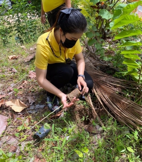 ไฟล์แนบ กปภ.สาขาเกาะพะงัน มอบน้ำดื่มบรรจุขวดตราสัญลักษณ์ กปภ. ในกิจกรรมจิตอาสาปลูกต้นไม้เฉลิมพระเกียรติฯ