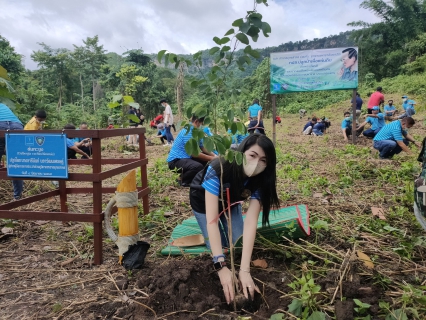 ไฟล์แนบ กปภ.สาขาสมุทรสาคร จัดกิจกรรม โครงการ กปภ. ปลูกป่าเพื่อแผ่นดิน เทิดพระเกียรติ พระบาทสมเด็จพระบรมชนกาธิเบศร มหาภูมิพลอดุลยเดชมหาราช บรมนาถบพิตร (Fathers Land)