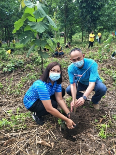 ไฟล์แนบ กปภ.สาขาสมุทรสาคร จัดกิจกรรม โครงการ กปภ. ปลูกป่าเพื่อแผ่นดิน เทิดพระเกียรติ พระบาทสมเด็จพระบรมชนกาธิเบศร มหาภูมิพลอดุลยเดชมหาราช บรมนาถบพิตร (Fathers Land)
