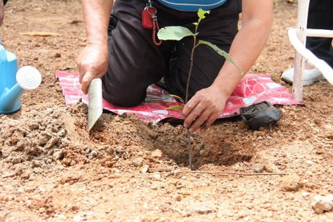 ไฟล์แนบ กปภ.ข.6 ร่วมกิจกรรม รัฐวิสาหกิจขอนแก่น อาสาปลูกป่า ประจำปี 2565