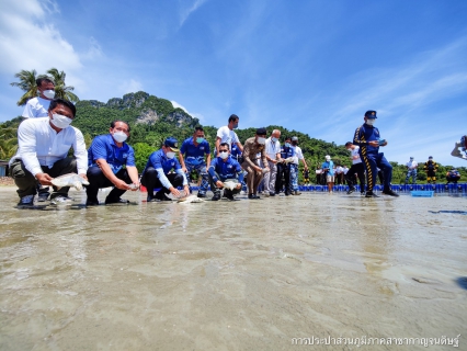 ไฟล์แนบ การประปาส่วนภูมิภาคสาขากาญจนดิษฐ์ เข้าร่วมกิจกรรมวันทะเลโลก (World Ocean Day) ภายใต้หัวข้อ "รวมพลังฟื้นฟู กอบกู้มหาสมุทร" ณ ชายหาดนางกำ ตำบลดอนสัก อำเภอดอนสัก จังหวัดสุราษฎร์ธานี