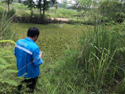 ไฟล์แนบ กปภ.สาขาปราณบุรี ลงพื้นที่ออกหาท่อแตก-ท่อรั่ว เชิงรุก (Active Leak Control) ตรวจสอบปัญหาน้ำไหลอ่อน พร้อมแก้ไขทันที ตามแผนลดน้ำสูญเสีย บริเวณ ถนนบายพลาสคู่ขนาน หมู่บ้านเบญจพาส หมู่บ้านเขาเต่า หมู่บ้านหนองหอย ตำบลวังก์พง และตำบลทับใต้ อำเภอหัวหิน จังหวัดประจวบฯ