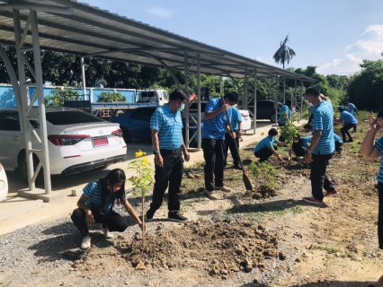 ไฟล์แนบ กปภ.สาขาอ้อมน้อย ร่วมจัดกิจกรรมปลูกต้นไม้ ภายใต้ชื่อ โครงการ กปภ.ปลูกป่าเพื่อแผ่นดินเทิดพระเกียรติพระบาทสมเด็จพระบรมชนกาธิเบศร มหาภูมิพลอดุลยเดชมหาราช บรมนาถบพิตร ปี 2565  (Father's Land)