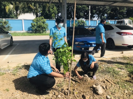 ไฟล์แนบ กปภ.สาขาอ้อมน้อย ร่วมจัดกิจกรรมปลูกต้นไม้ ภายใต้ชื่อ โครงการ กปภ.ปลูกป่าเพื่อแผ่นดินเทิดพระเกียรติพระบาทสมเด็จพระบรมชนกาธิเบศร มหาภูมิพลอดุลยเดชมหาราช บรมนาถบพิตร ปี 2565  (Father's Land)