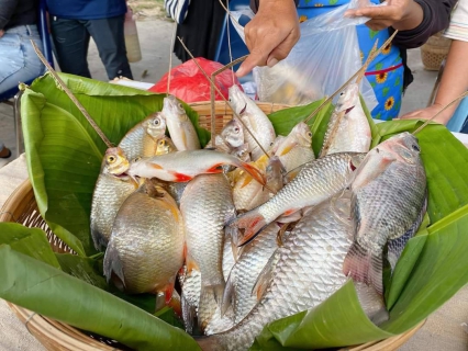 ไฟล์แนบ การประปาส่วนภูมิภาคสาขาฮอด ร่วมพิธีเปิดโครงการตลาดประชารัฐ 
