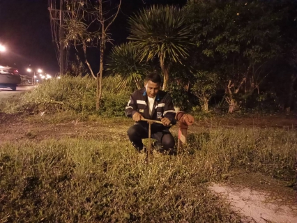 ไฟล์แนบ กปภ.สาขาคลองท่อม ลงพื้นที่&#8203;สำรวจหาท่อแตกรั่ว บริเวณพื้นที่ตำบลคลองท่อมใต้ อำเภอคลองท่อม จังหวัดกระบี่