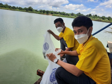 ไฟล์แนบ PWABanbung3