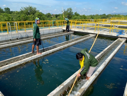 ไฟล์แนบ กปภ.สาขาท่ามะกา ดำเนินการล้างถังตกตะกอน ตามแนวทางการดำเนินการโครงการจัดการน้ำสะอาด (WSP) ประจำเดือนกรกฎาคม 2565 วันที่ 25 และ 26 กรกฎาคม 2565