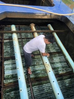 ไฟล์แนบ กปภ.สาขาอู่ทอง ล้างถังตกตะกอน ประจำเดือน กรกฎาคม 2565 ณ สถานีผลิตน้ำพนมทวน สถานีผลิตน้ำสระยายโสม และสถานีผลิตน้ำแม่ข่ายอู่ทอง