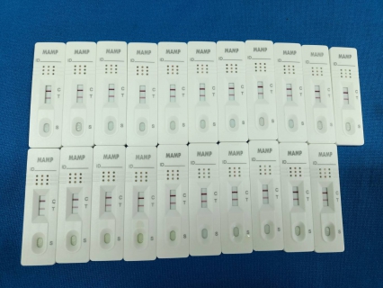 ไฟล์แนบ สวัสดิการและคุ้มครองแรงงานฯ สุ่มตรวจสารเสพติดลูกจ้างในสถานประกอบการตามโครงการโรงงานสีขาว