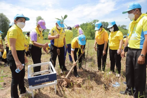 ไฟล์แนบ การประปาส่วนภูมิภาคสาขาทุ่งสง ร่วมกิจกรรมจิตอาสา เราทำความดี ปลูกต้นไม้ เนื่องในโอกาสวันเฉลิมพระชนมพรรษาพระบาทสมเด็จพระเจ้าอยูหัว