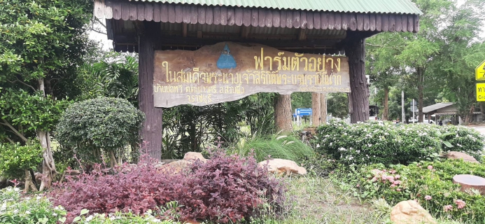 ไฟล์แนบ กปภ.สาขาราชบุรี ร่วมกิจกรรมเฉลิมพระเกียรติ เนื่องในโอกาสมหามงคลเฉลิมพระชนมพรรษา 90 พรรษา 12 สิงหาคม 2565