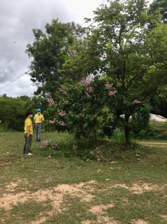 ไฟล์แนบ กปภ.สาขาน่าน นำโดยนายเรืองเดช ริกากรณ์ ผจก.กปภ.สาขาน่าน พร้อมด้วยหัวหน้างาน พนักงานและลูกจ้างในสังกัด ร่วมจัดกิจกรรมรักษาความสะอาด 5 ส. (Big Cleaning Day) โดยพร้อมใจกันร่วมปรับปรุงภูมิทัศน์กวาดทำความส