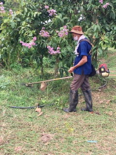 ไฟล์แนบ กปภ.สาขาน่าน นำโดยนายเรืองเดช ริกากรณ์ ผจก.กปภ.สาขาน่าน พร้อมด้วยหัวหน้างาน พนักงานและลูกจ้างในสังกัด ร่วมจัดกิจกรรมรักษาความสะอาด 5 ส. (Big Cleaning Day) โดยพร้อมใจกันร่วมปรับปรุงภูมิทัศน์กวาดทำความส