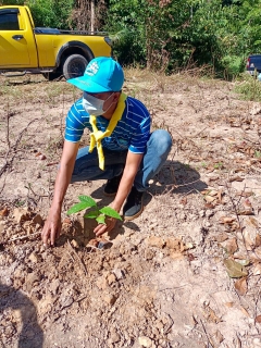 ไฟล์แนบ กปภ.สาขาขนอม เข้าร่วมกิจกรรมจิตอาสา ปลูกต้นไม้เฉลิมพระเกียรติสมเด็จพระนางเจ้าสิริกิติ์ พระบรมราชินีนาถ พระบรมราชชนนีพันปีหลวง เนื่องในโอกาสมหามงคลเฉลิมพระชนมพรรษา 90 พรรษา 12 สิงหาคม 2565