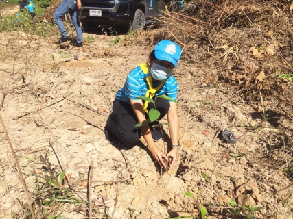 ไฟล์แนบ กปภ.สาขาขนอม เข้าร่วมกิจกรรมจิตอาสา ปลูกต้นไม้เฉลิมพระเกียรติสมเด็จพระนางเจ้าสิริกิติ์ พระบรมราชินีนาถ พระบรมราชชนนีพันปีหลวง เนื่องในโอกาสมหามงคลเฉลิมพระชนมพรรษา 90 พรรษา 12 สิงหาคม 2565