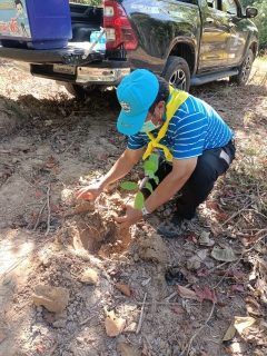 ไฟล์แนบ กปภ.สาขาขนอม เข้าร่วมกิจกรรมจิตอาสา ปลูกต้นไม้เฉลิมพระเกียรติสมเด็จพระนางเจ้าสิริกิติ์ พระบรมราชินีนาถ พระบรมราชชนนีพันปีหลวง เนื่องในโอกาสมหามงคลเฉลิมพระชนมพรรษา 90 พรรษา 12 สิงหาคม 2565