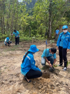 ไฟล์แนบ กปภ.สาขาพังงา ร่วมกิจกรรมโครงการปลูกต้นไม้เพื่ออนุรักษ์พรรณไม้เขตป่าร้อนชื้นภาคใต้ เฉลิมพระเกียรติ 90 พรรษา