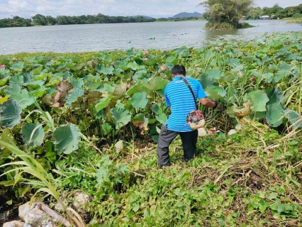 ไฟล์แนบ ปภ.สาขาท่ามะกา ดำเนินกิจกรรม "โครงการรวมพลังจิตอาสา กปภ.เทิดไท้องค์ราชัน พระพันปีหลวง"   วันศุกร์ที่ 19 สิงหาคม พ.ศ. 2565