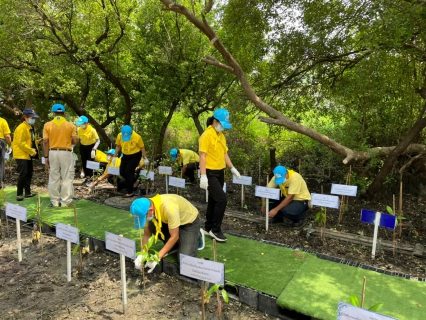 ไฟล์แนบ กปภ.สาขาบางปะกง ร่วมกิจกรรมจิตอาสาพัฒนาการปลูกป่าชายเลน เฉลิมพระเกียรติ เนื่องในโอกาสวันเฉลิมพระชนมพรรษาพระบาทสมเด็จพระเจ้าอยู่หัว