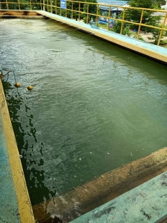 ไฟล์แนบ การประปาส่วนภูมิภาคสาขาคลองท่อมดำเนินการล้างถังตกตะกอน โรงกรองน้ำคลองท่อม 