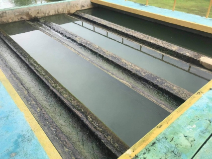 ไฟล์แนบ การประปาส่วนภูมิภาคสาขาคลองท่อมดำเนินการล้างถังตกตะกอน โรงกรองน้ำคลองท่อม 