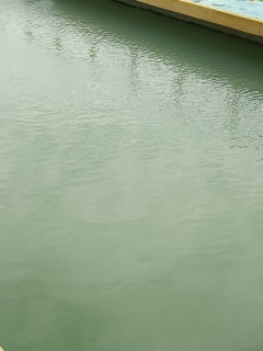 ไฟล์แนบ การประปาส่วนภูมิภาคสาขาคลองท่อมดำเนินการล้างถังตกตะกอน โรงกรองน้ำคลองท่อม 