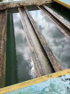 ไฟล์แนบ การประปาส่วนภูมิภาคสาขาคลองท่อมดำเนินการล้างถังตกตะกอน โรงกรองน้ำคลองท่อม 