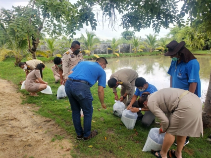 ไฟล์แนบ กปภ.สาขาสมุทรสาคร ร่วมกันปล่อยพันธุ์ปลา สานต่อโครงการ โครงการรวมพลังจิตอาสา กปภ.เทิดไท้องค์ราชัน พระพันปีหลวง
