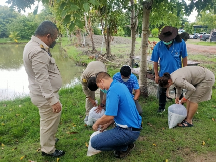 ไฟล์แนบ กปภ.สาขาสมุทรสาคร ร่วมกันปล่อยพันธุ์ปลา สานต่อโครงการ โครงการรวมพลังจิตอาสา กปภ.เทิดไท้องค์ราชัน พระพันปีหลวง