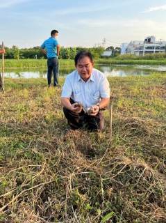 ไฟล์แนบ ปลูกตาลโตนด ปี 2(6 ก.ย.65)