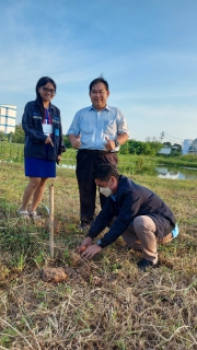 ไฟล์แนบ ปลูกตาลโตนด ปี 2(6 ก.ย.65)