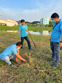 ไฟล์แนบ ปลูกตาลโตนด ปี 2(6 ก.ย.65)