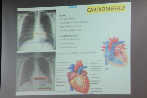ไฟล์แนบ พนักงาน กปภ.ข.9 เข้ารับฟังผลการตรวจสุขภาพ ประจำปี 2565 