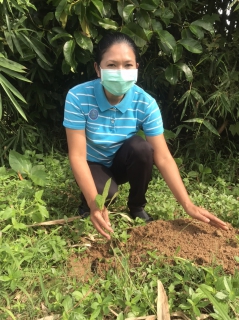 ไฟล์แนบ การประปาส่วนภูมิภาคสาขาจันดี จัดกิจกรรมวันรักต้นไม้ประจำปีของชาติ 2565 