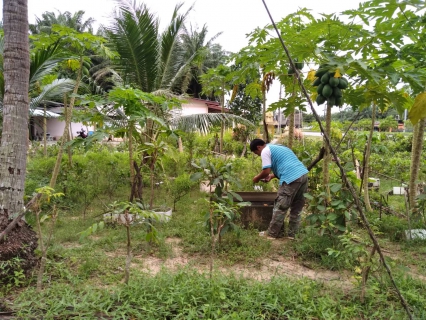 ไฟล์แนบ กปภ.สาขาคลองท่อม เข้าร่วมกิจกรรมจิตอาสาในโอกาสวันสำคัญของชาติ วันสมเด็จพระนเรศวรมหาราช 