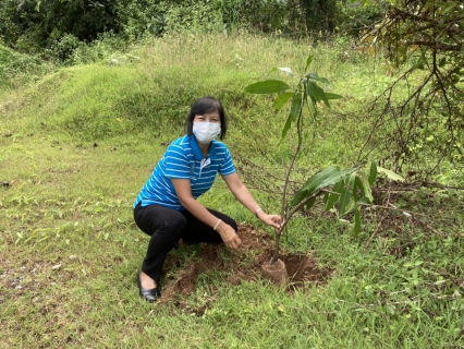 ไฟล์แนบ การประปาส่วนภูมิภาคสาขาคลองท่อม จัดกิจกรรมปลูกต้นไม้และบำรุงรักษาต้นไม้ ณ บริเวณ สำนักงานการประปาส่วนภูมิภาคสาขาคลองท่อม 
