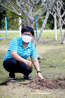 ไฟล์แนบ การประปาส่วนภูมิภาคสาขาบ้านตาขุน  ดำเนินกิจกรรม  กปภ.ปลูกป่าเพื่อแผ่นดิน เทิดพระเกียรติพระบาทสมเด็จพระบรมชนกาธิเบศร มหาภูมิพลอดุลยเดชมหาราช บรมนาถบพิตร 