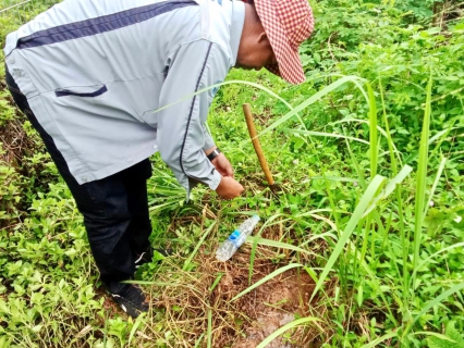 ไฟล์แนบ กปภ.สาขากระบี่ ดำเนินงานตามแผนบริหารจัดการน้ำสูญเสียเชิงรุก เดินหน้าลงพื้นที่ ถนนเพชรเกษม ตำบล ตำบลกระบี่น้อย อำเภอเมืองกระบี่  จังหวัดกระบี่ เดินเท้าหาท่อแตกรั่ว พร้อมซ่อมปิดจุด เพื่อลดการเกิดน้ำสูญเสีย 