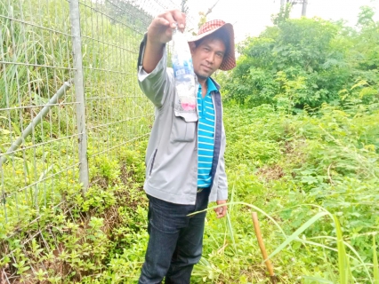 ไฟล์แนบ กปภ.สาขากระบี่ ดำเนินงานตามแผนบริหารจัดการน้ำสูญเสียเชิงรุก เดินหน้าลงพื้นที่ ถนนเพชรเกษม ตำบล ตำบลกระบี่น้อย อำเภอเมืองกระบี่  จังหวัดกระบี่ เดินเท้าหาท่อแตกรั่ว พร้อมซ่อมปิดจุด เพื่อลดการเกิดน้ำสูญเสีย 