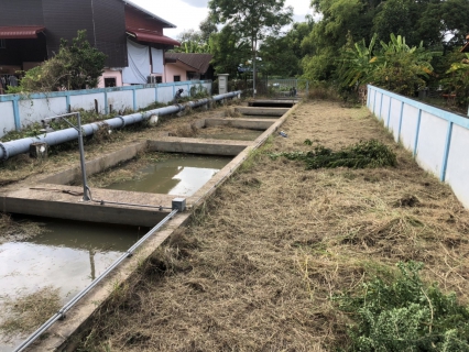 ไฟล์แนบ การประปาส่วนภูมิภาคสาขาสุพรรณบุรี จัดกิจกรรม 5 ส. (Big Cleaning Day)ภายในพื้นที่บริเวณสถานีแรงต่ำโพธิ์พระยา