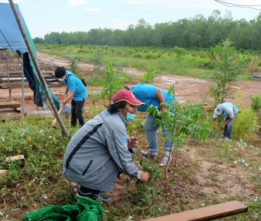 ไฟล์แนบ กปภ.สาขารังสิต(พ) ร่วมโครงการ โคก หนอง นา สัปปายะและรมณียสถาน สถานปฏิบัติธรรมสมเด็จพระสังฆราช (อมพรมหาเถร) ของสำนักงานทรัพยากรธรรมชาติและสิ่งแวดล้อมจังหวัดปทุมธานี