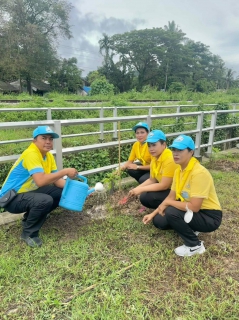 ไฟล์แนบ การประปาส่วนภูมิภาคสาขาทุ่งสง เข้าร่วมกิจกรรมจิตอาสา ปลูกต้นทองอุไร และทำความสะอาด เนื่องในวันคล้ายวันพระบรมราชสมภพ พระบาทสมเด็จพระบรมชนกาธิเบศร วันชาติ และวันพ่อแห่งชาติ